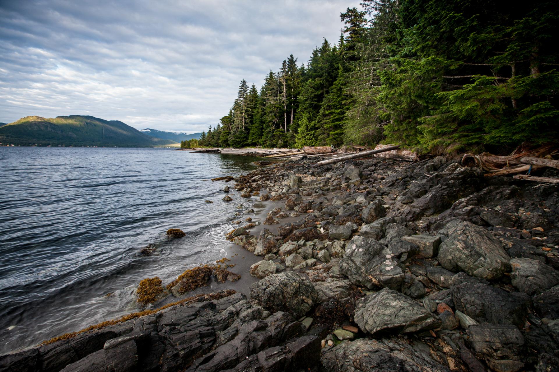 Tongass National Forest, Alaska