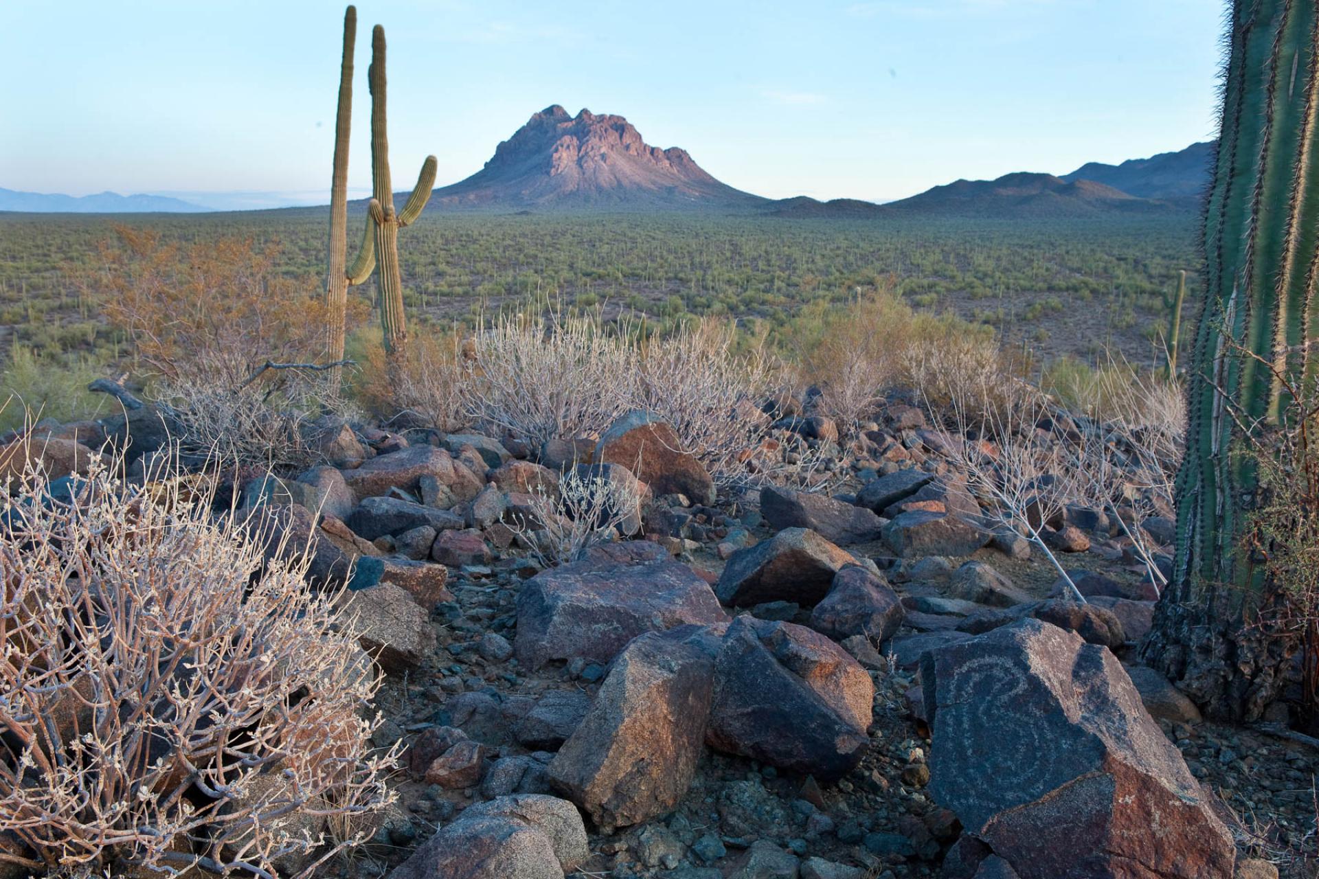 Ironwood Forest National Monument, Arizona.