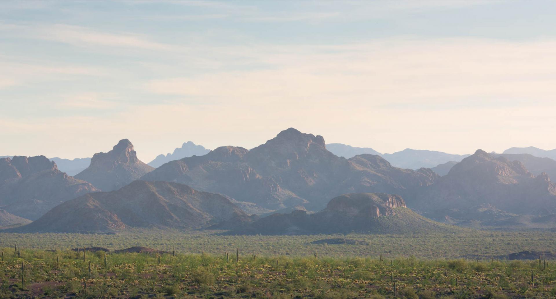 Kofa National Wildlife Refuge, Arizona.