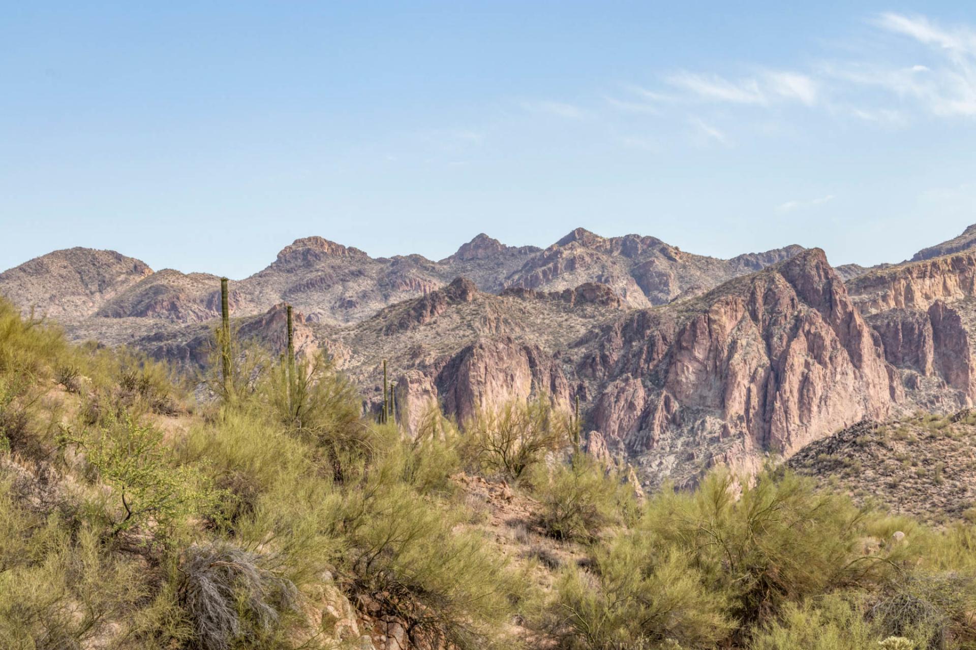 Tonto National Forest, Arizona.