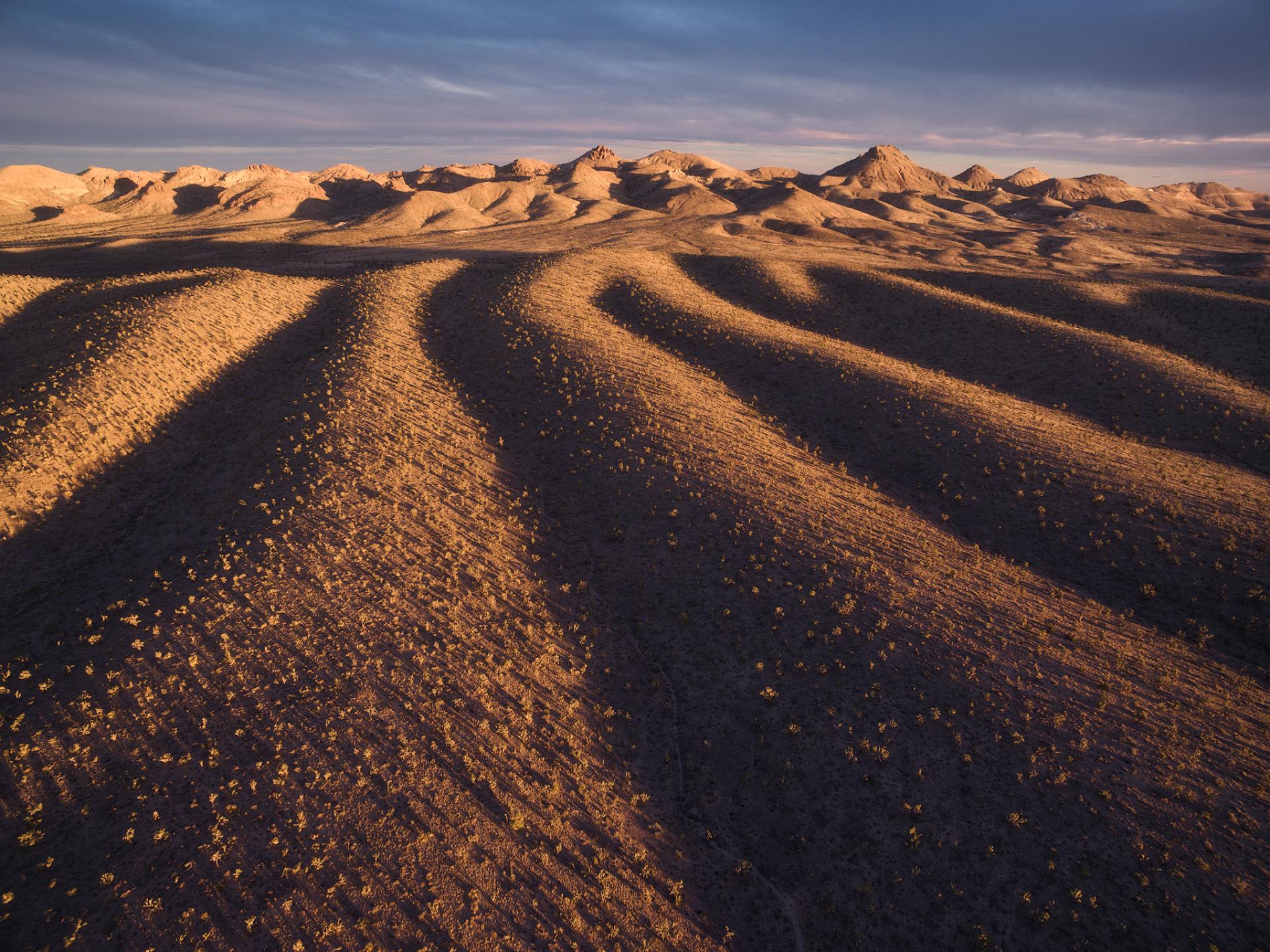 Castle Mountains National Monument, California.