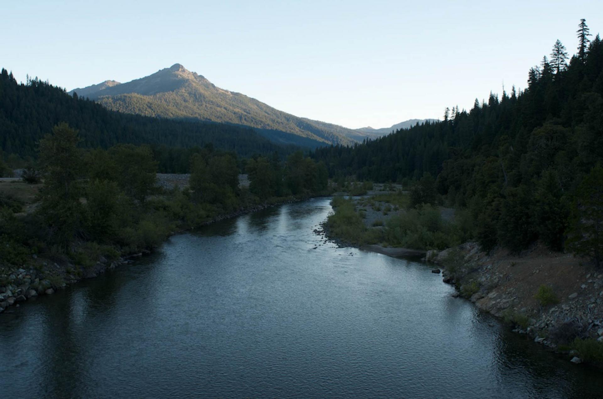 Shasta-Trinity National Forest, California.