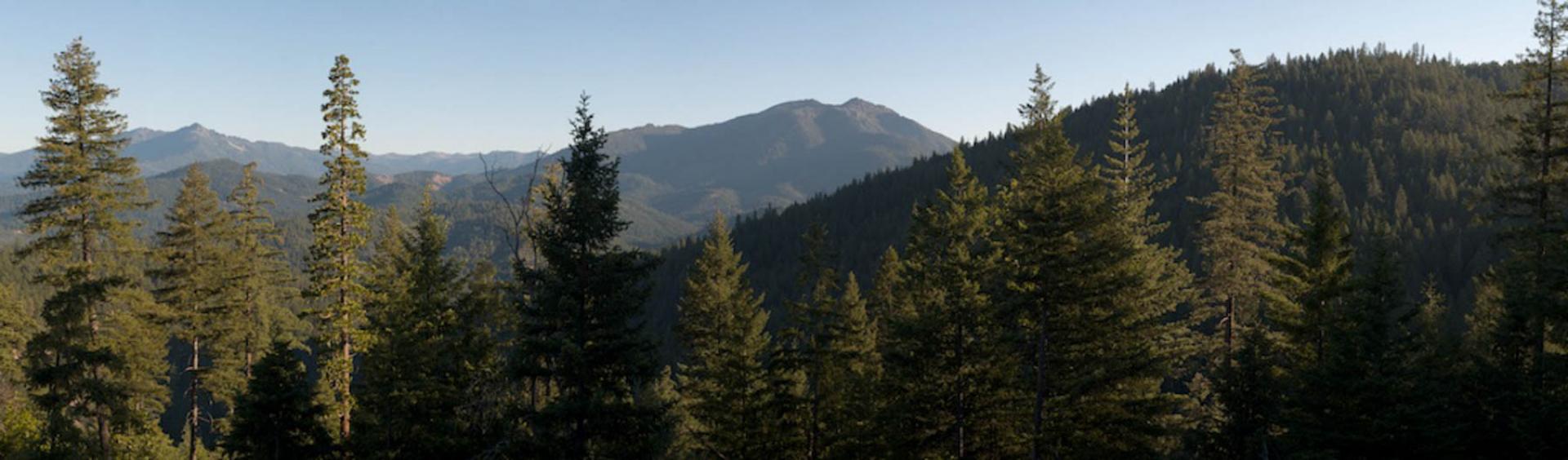 Shasta-Trinity National Forest, California.