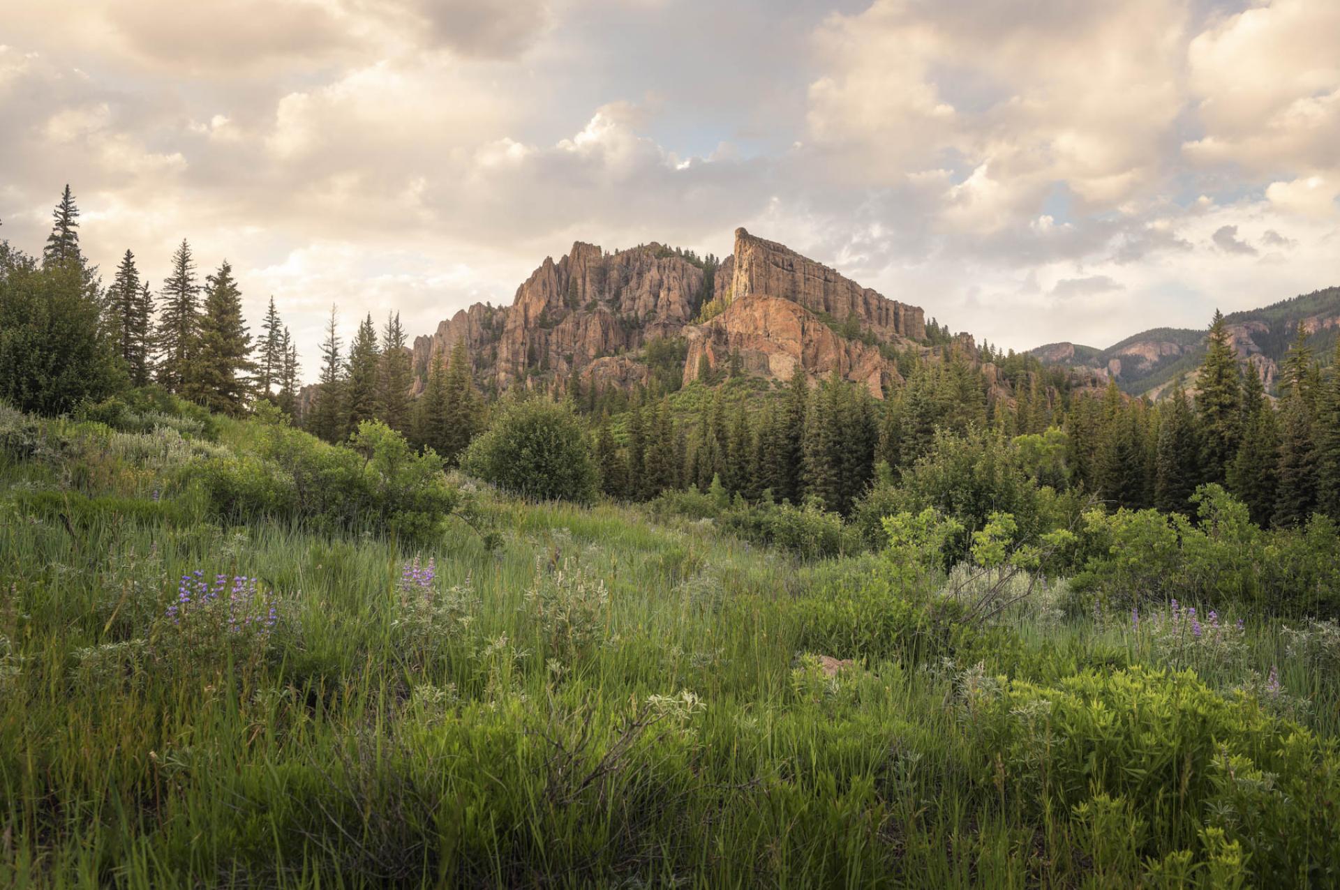 Gunnison National Forest, Colorado.