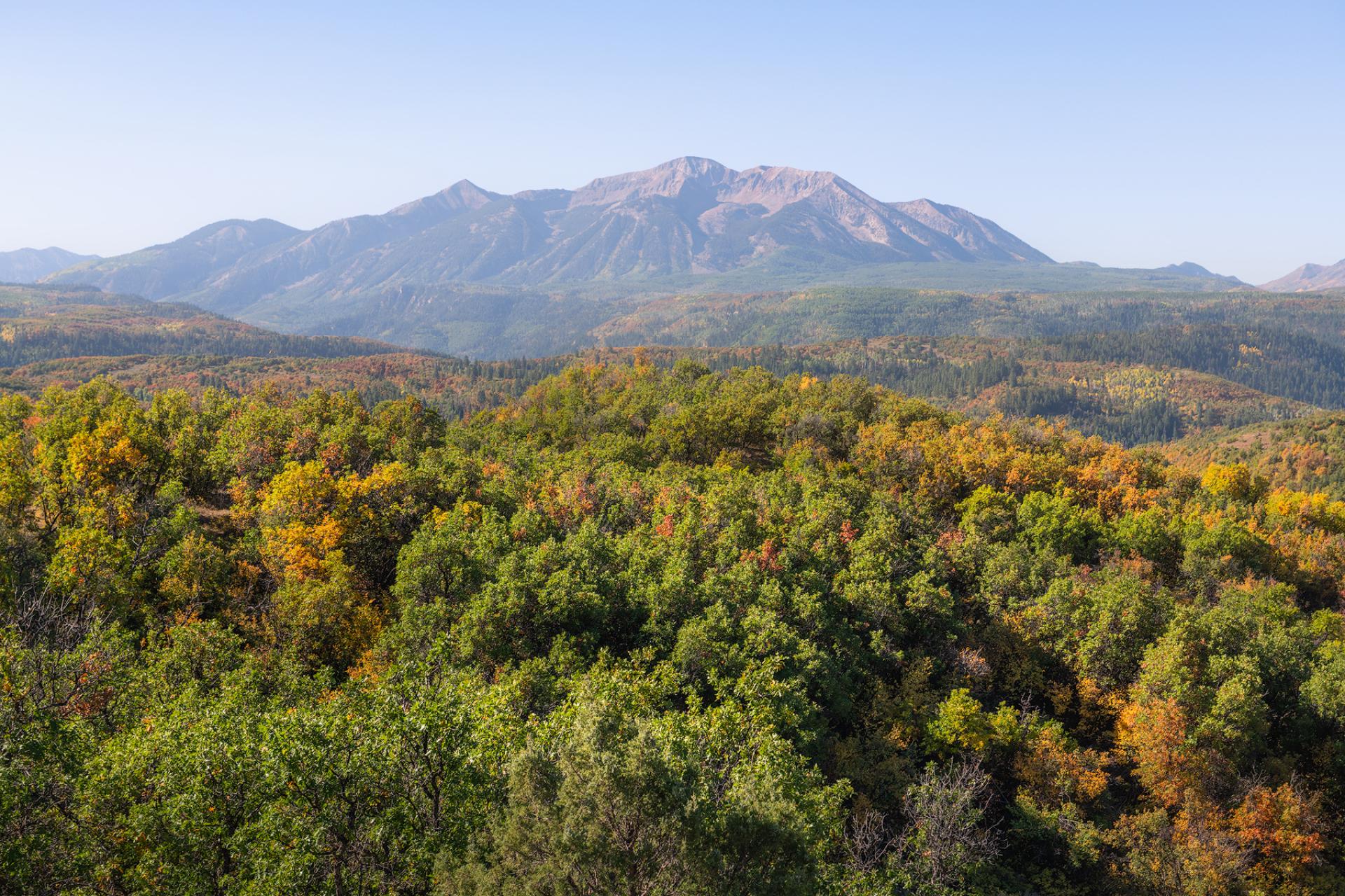 Mountains and fall foliage in North Fork Valley, Colorado.