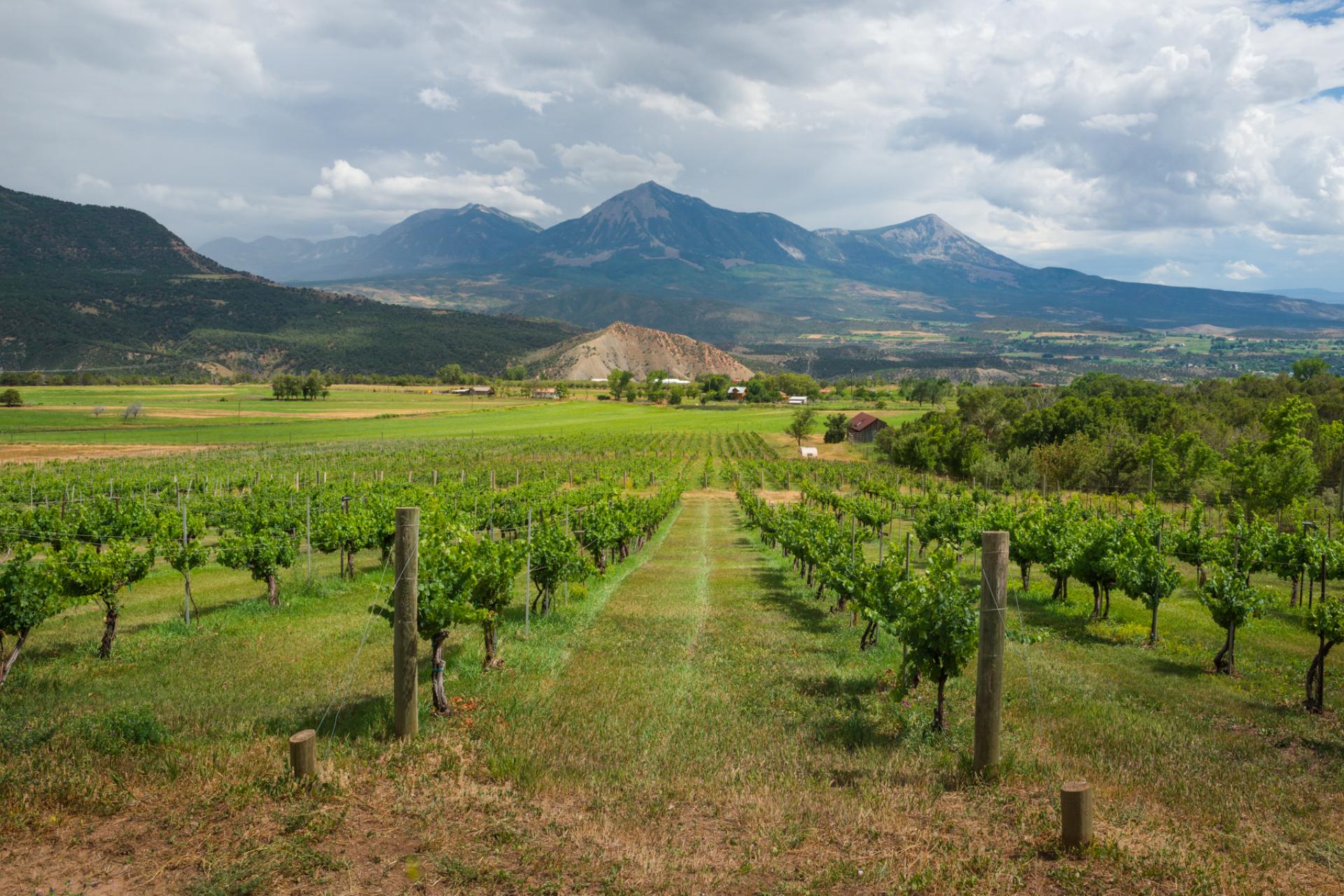 North Fork Valley, Colorado