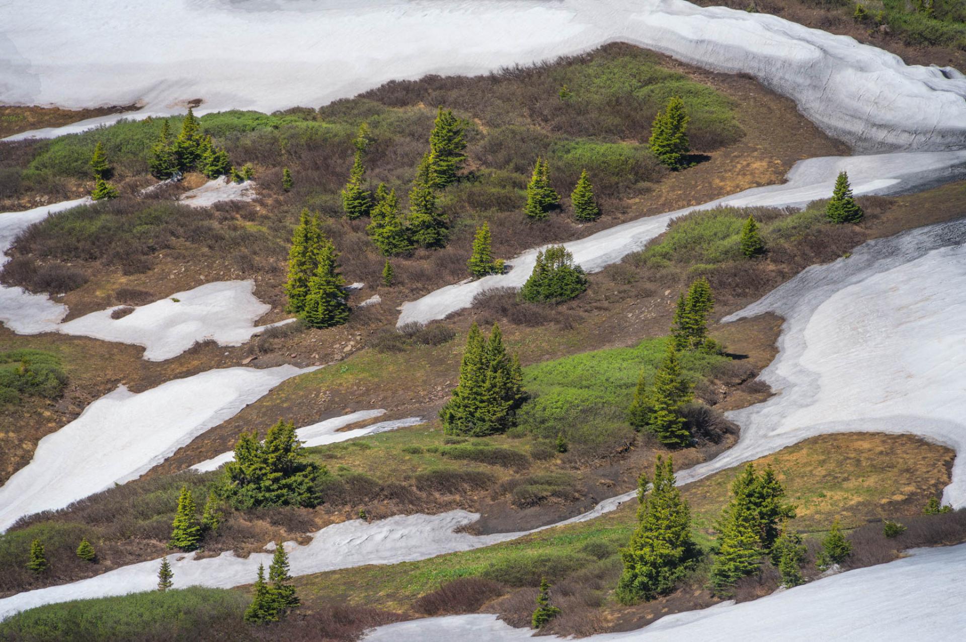 San Juan National Forest, Colorado.