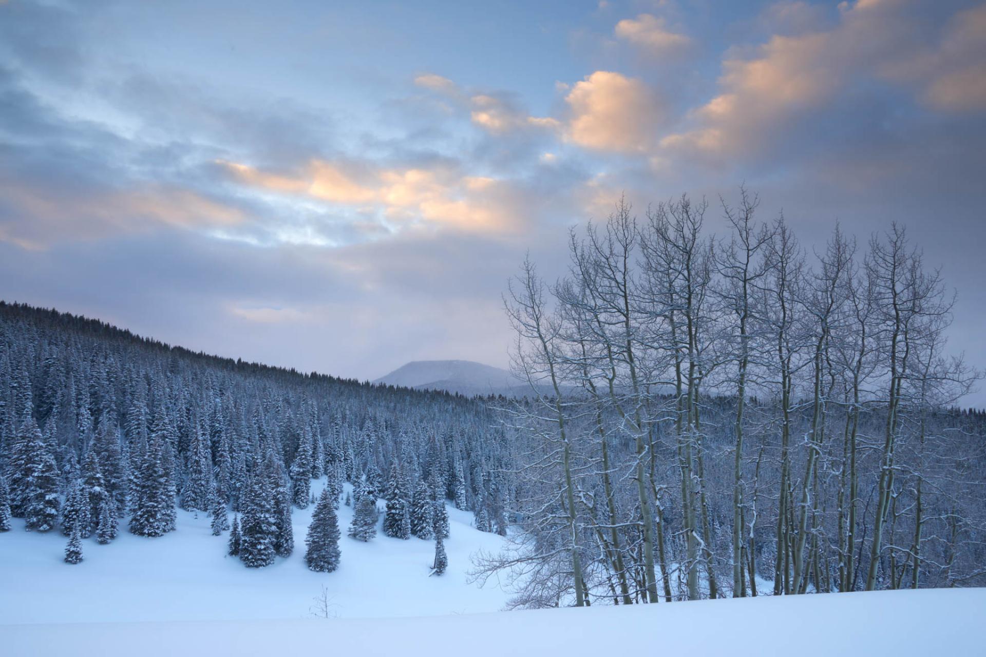 White River National Forest, Colorado.