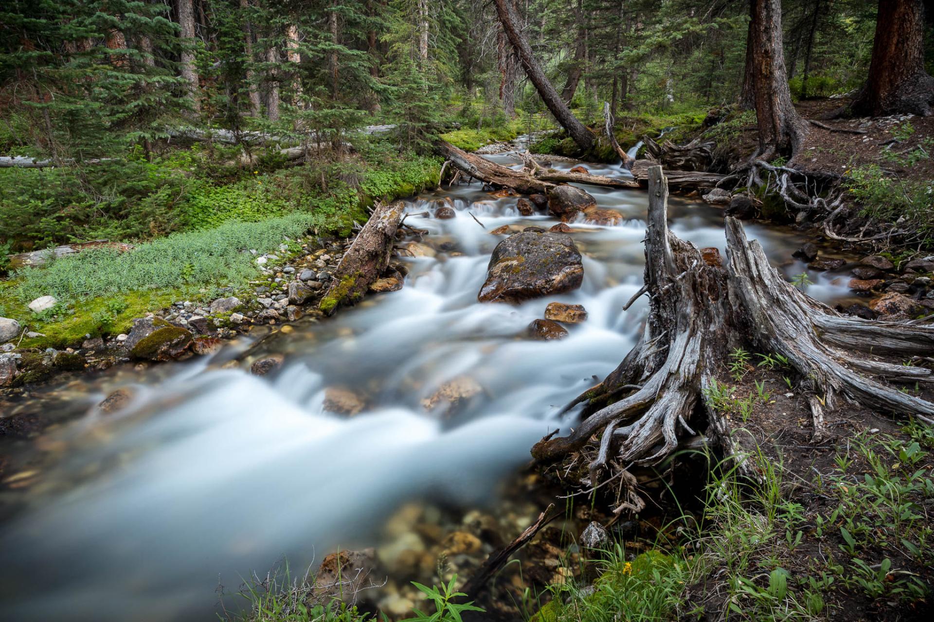 Salmon-Challis National Forest, Idaho.