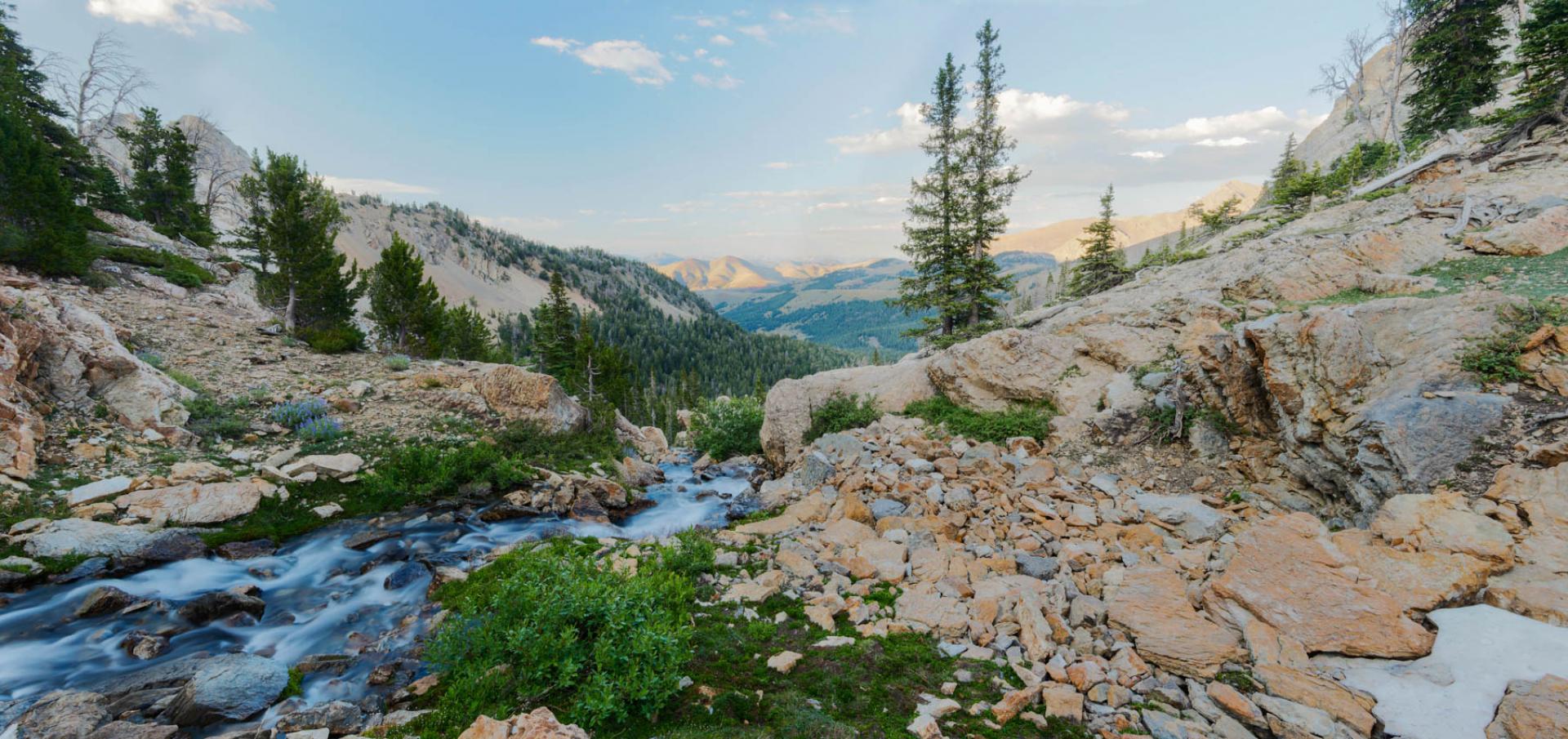 Salmon-Challis National Forest, Idaho.