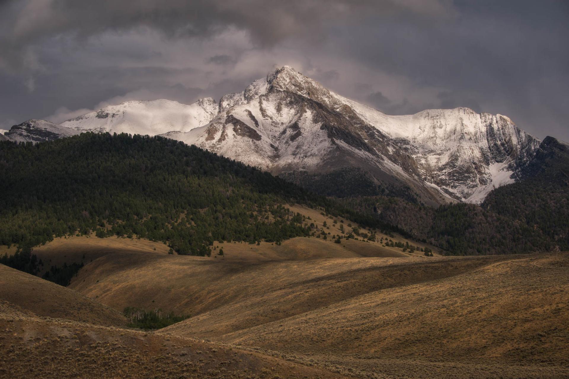 Salmon-Challis National Forest, Idaho.