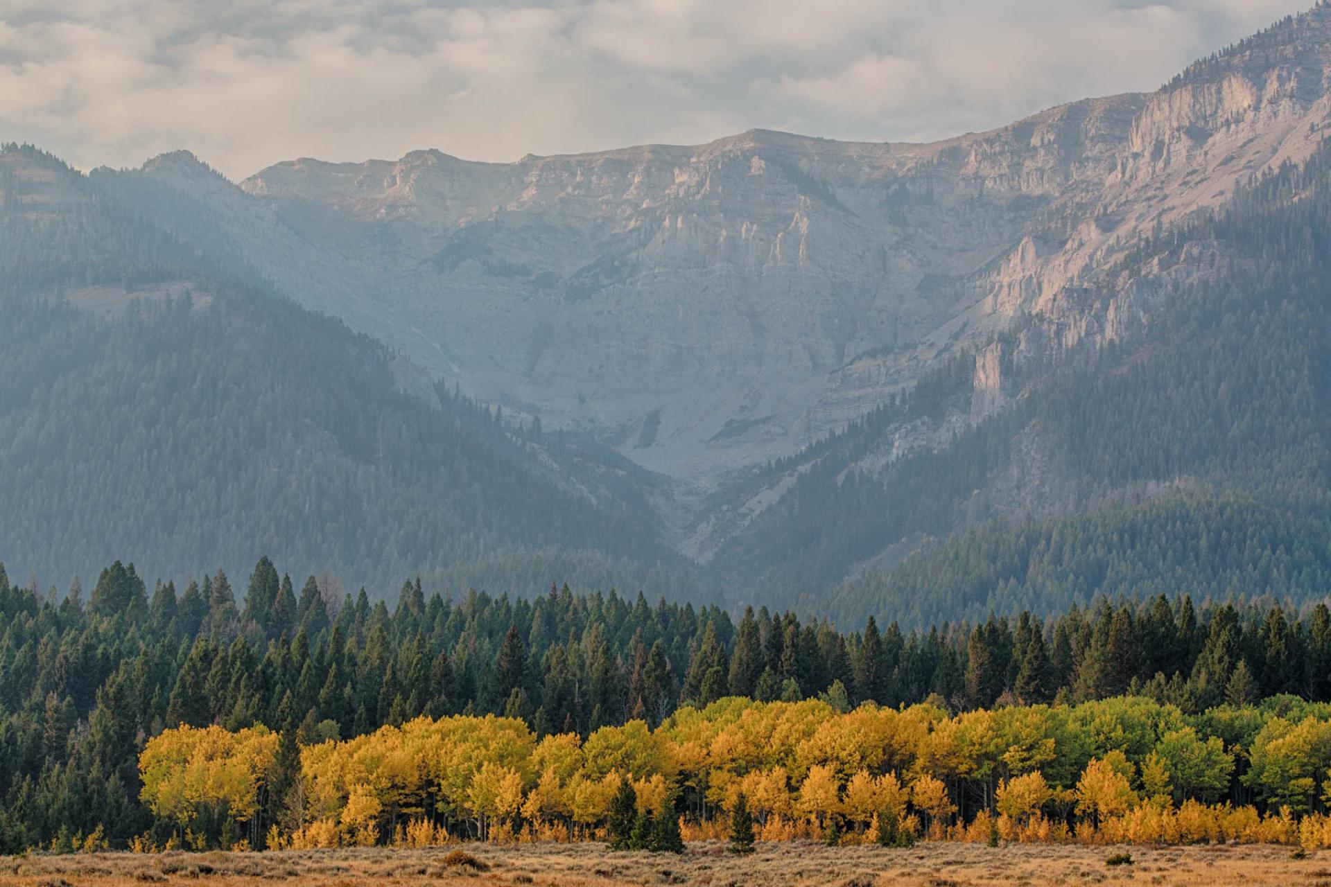 Centennial Mountains Wilderness Study Area, Montana.