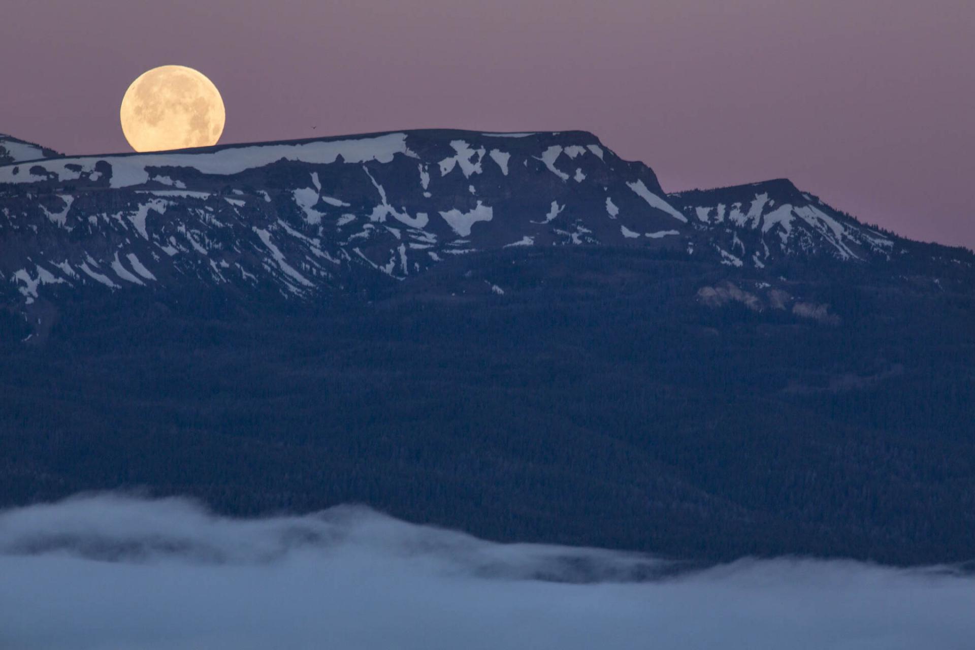 Centennial Mountains Wilderness Study Area, Montana.