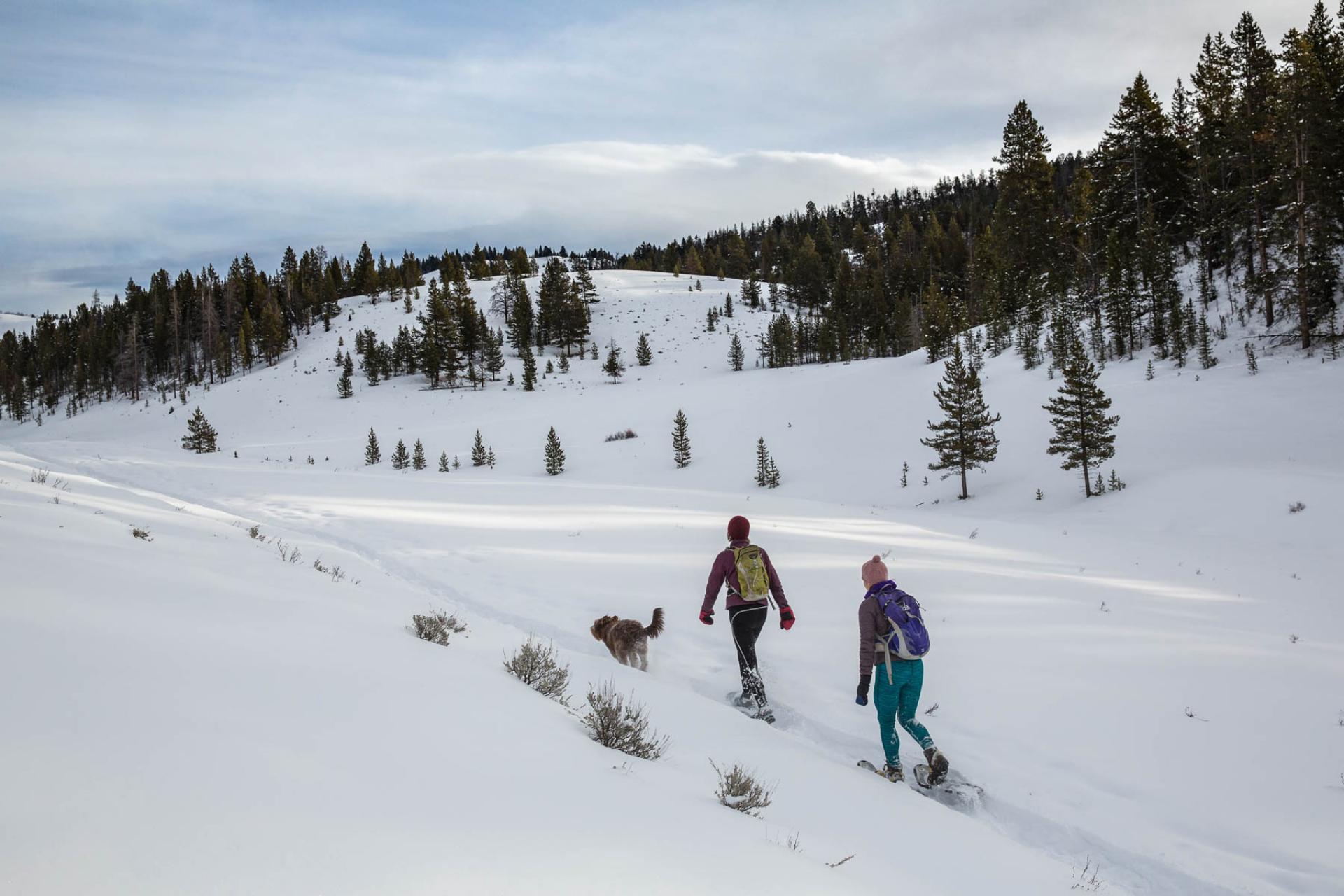 Gallatin National Forest, Montana.