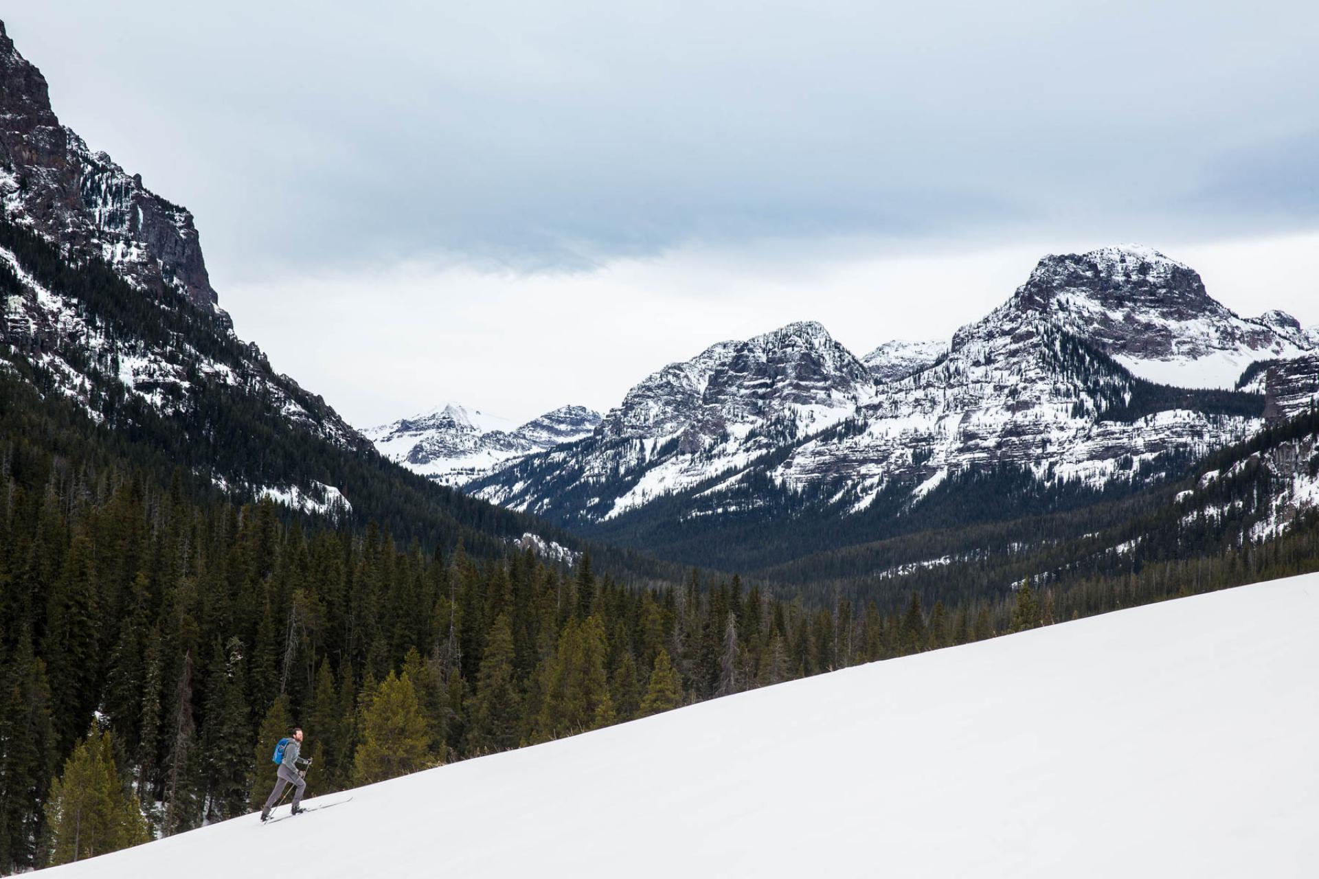 Custer Gallatin National Forest, Montana.