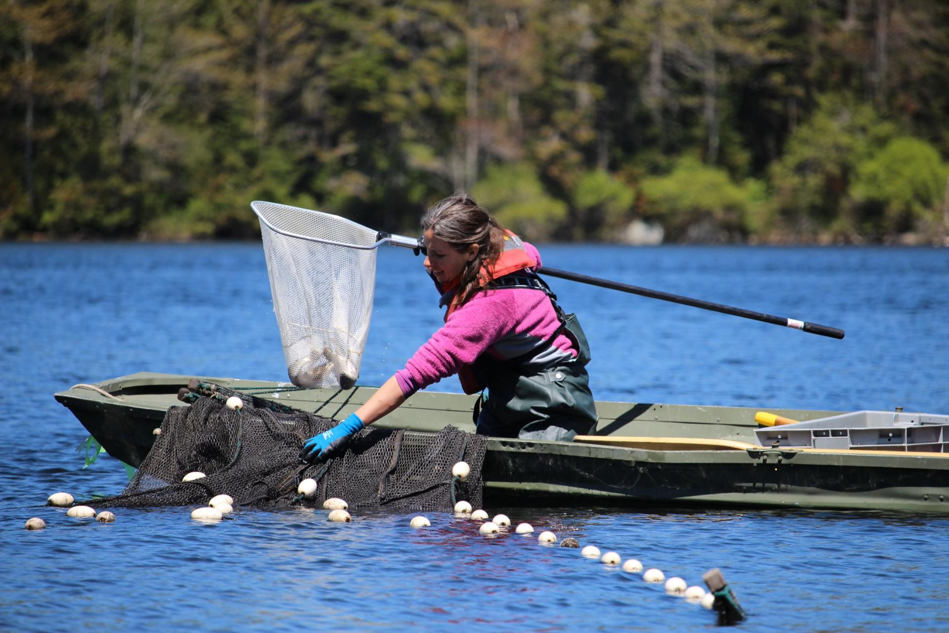 woman collecting data from a kayak