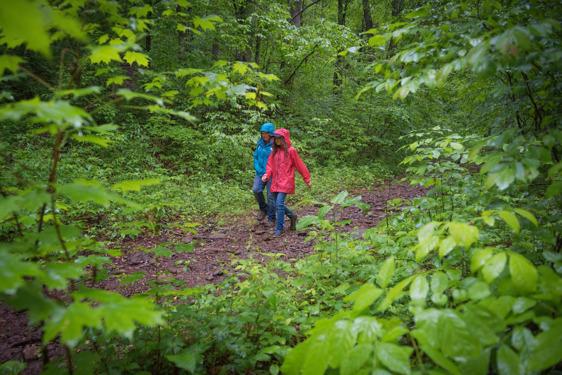 Hikers in the Craggy Mountains area of Pisgah National Forest, NC