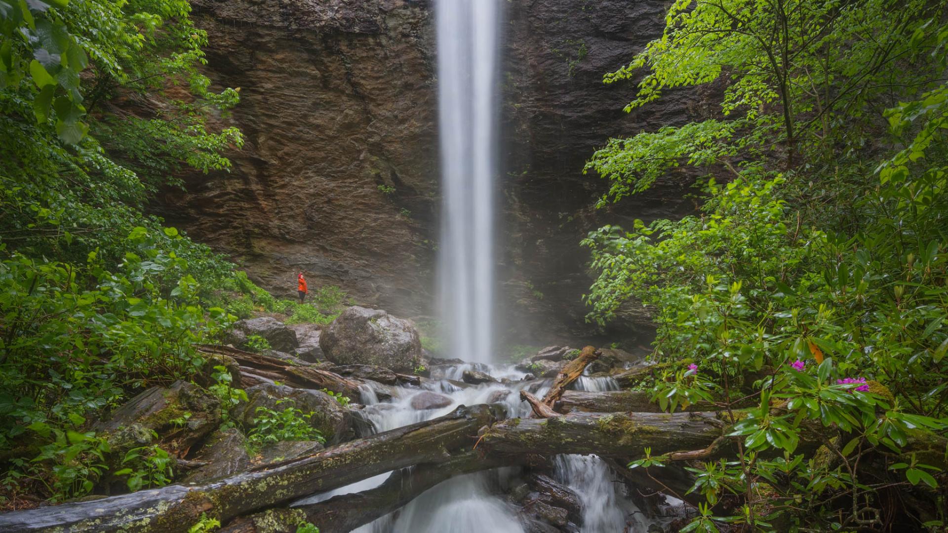 Pisgah National Forest, North Carolina.