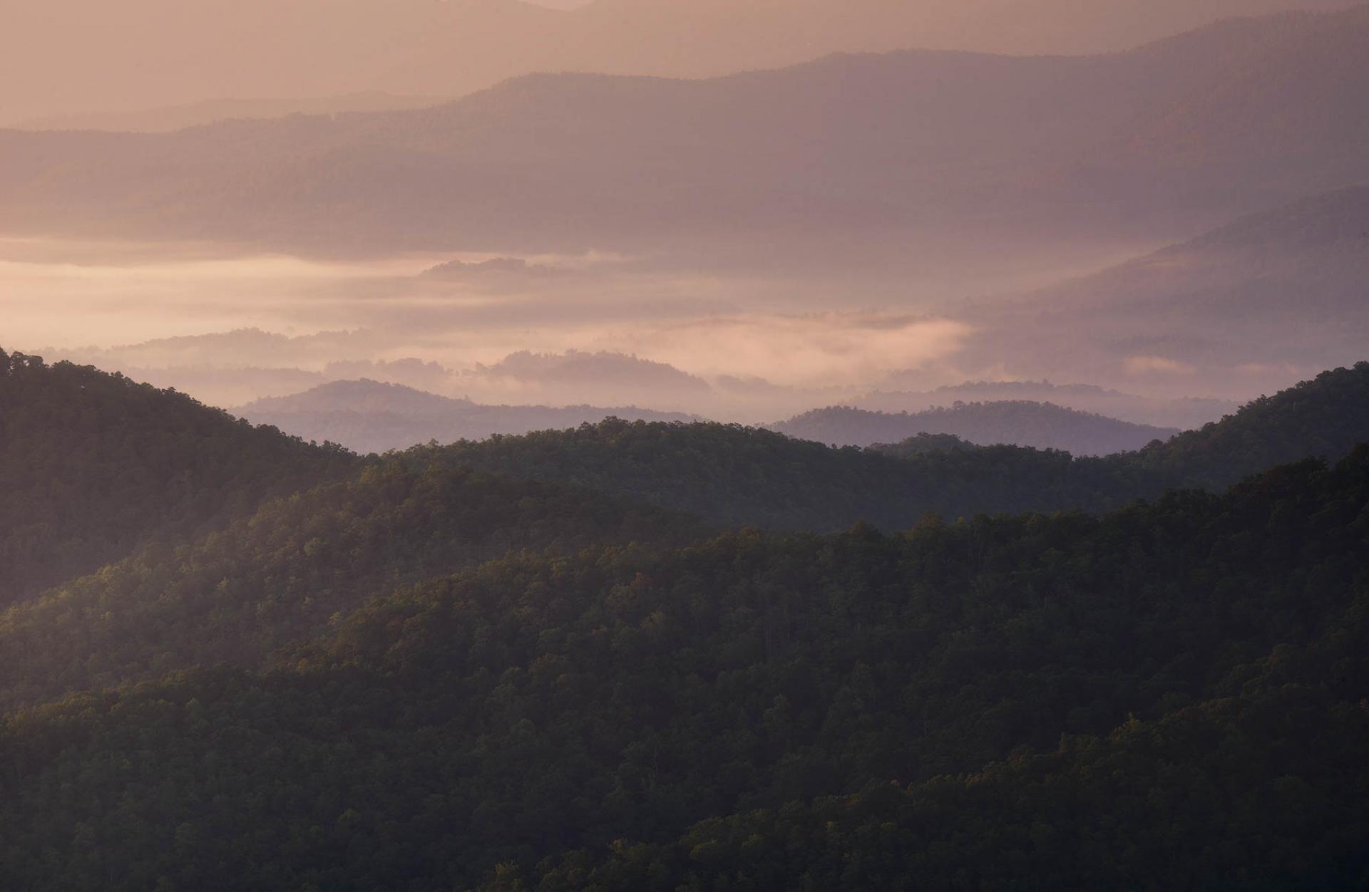 Hills and fog in Pisgah National Forest, North Carolina.