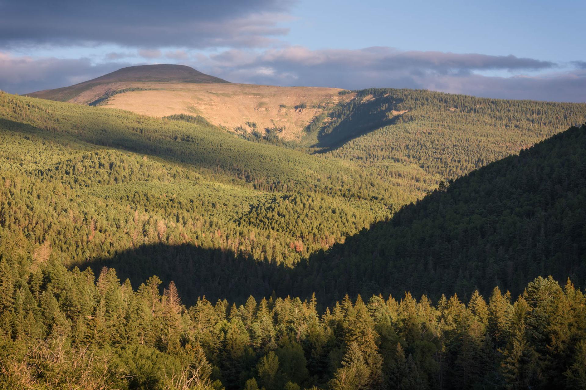 Carson National Forest, New Mexico.