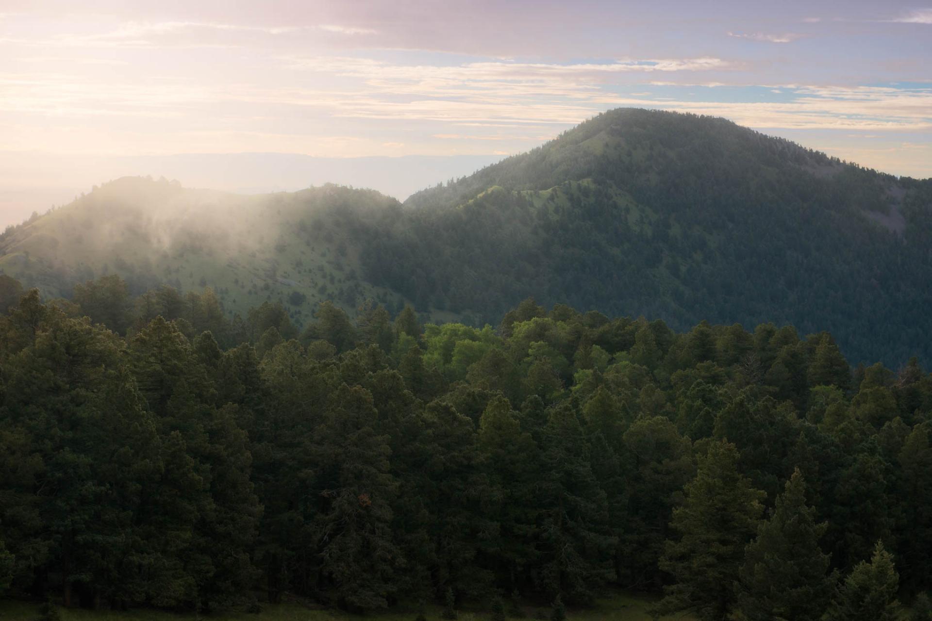 Cibola National Forest, New Mexico