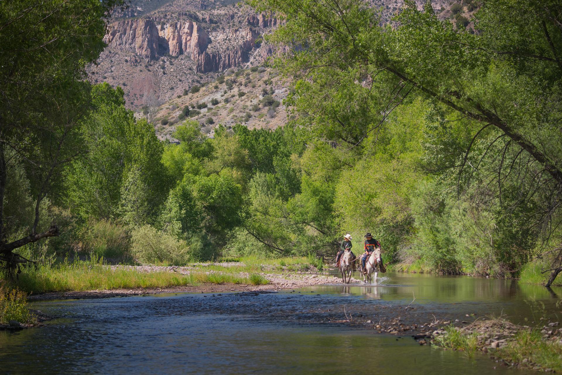 Horseback riders in Gila National Forest, New Mexico.