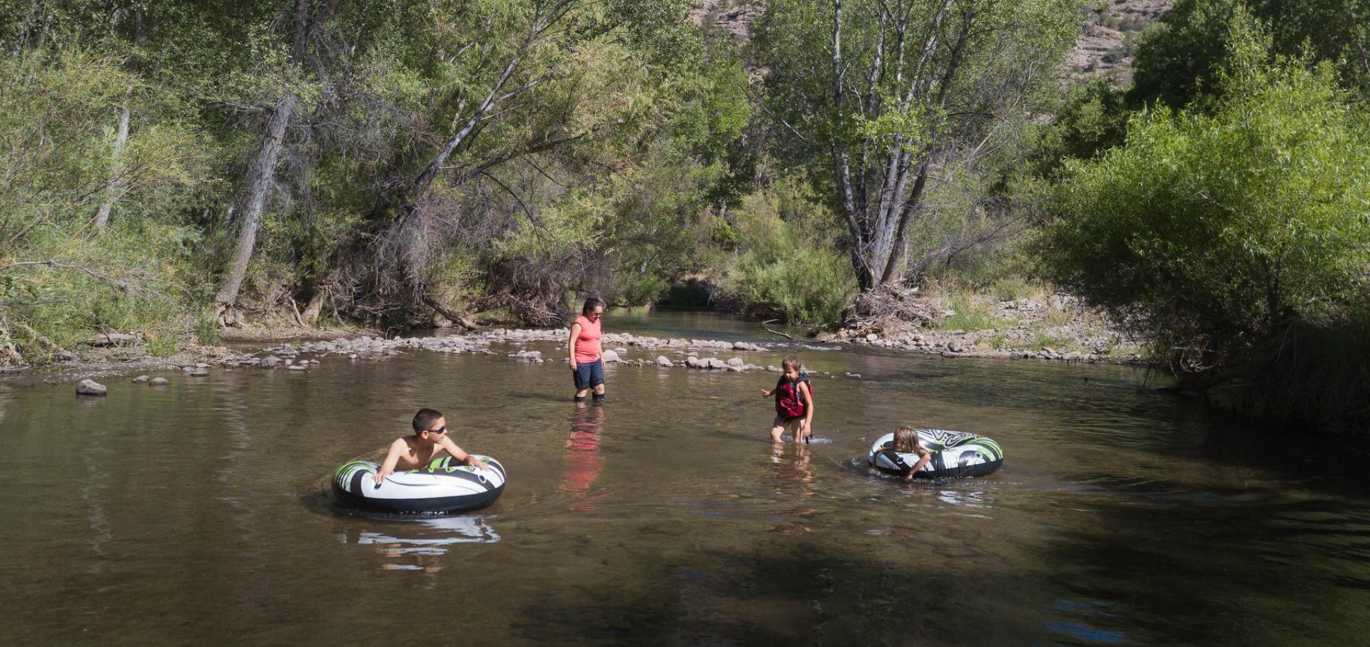 Gila National Forest, New Mexico.