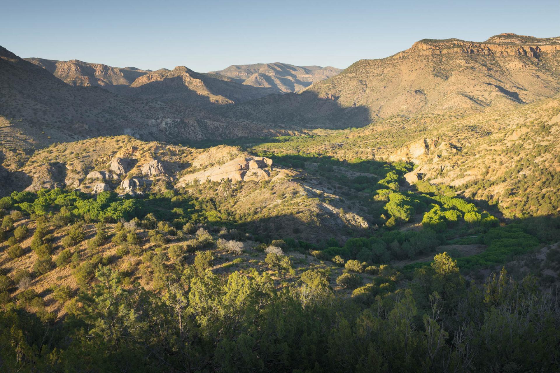 Gila National Forest, New Mexico.