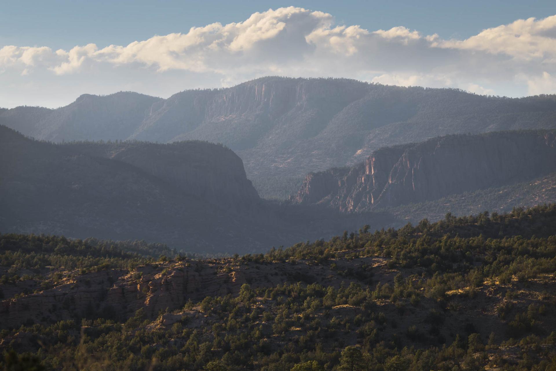 Gila National Forest, New Mexico.