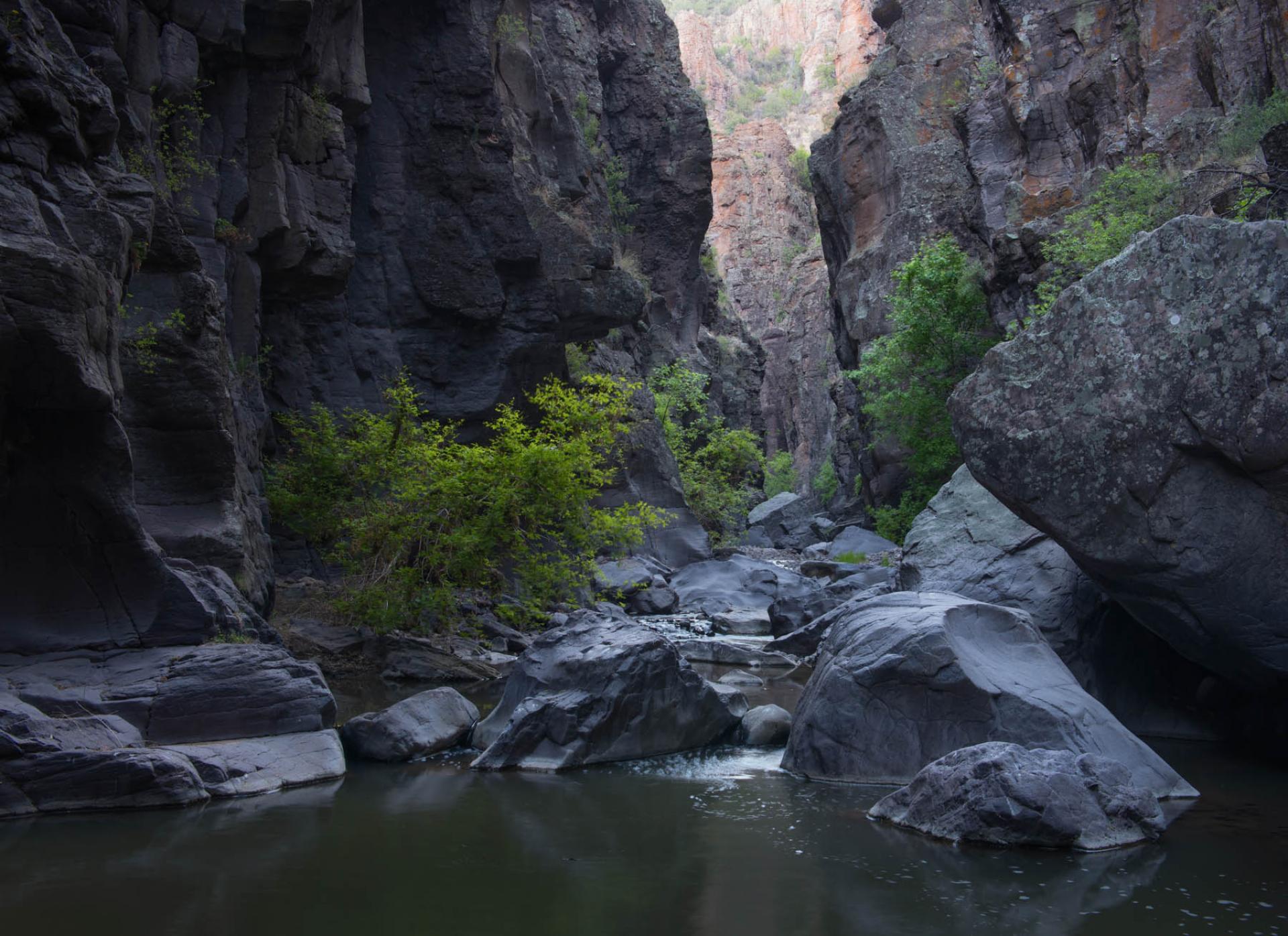 Gila National Forest, New Mexico.