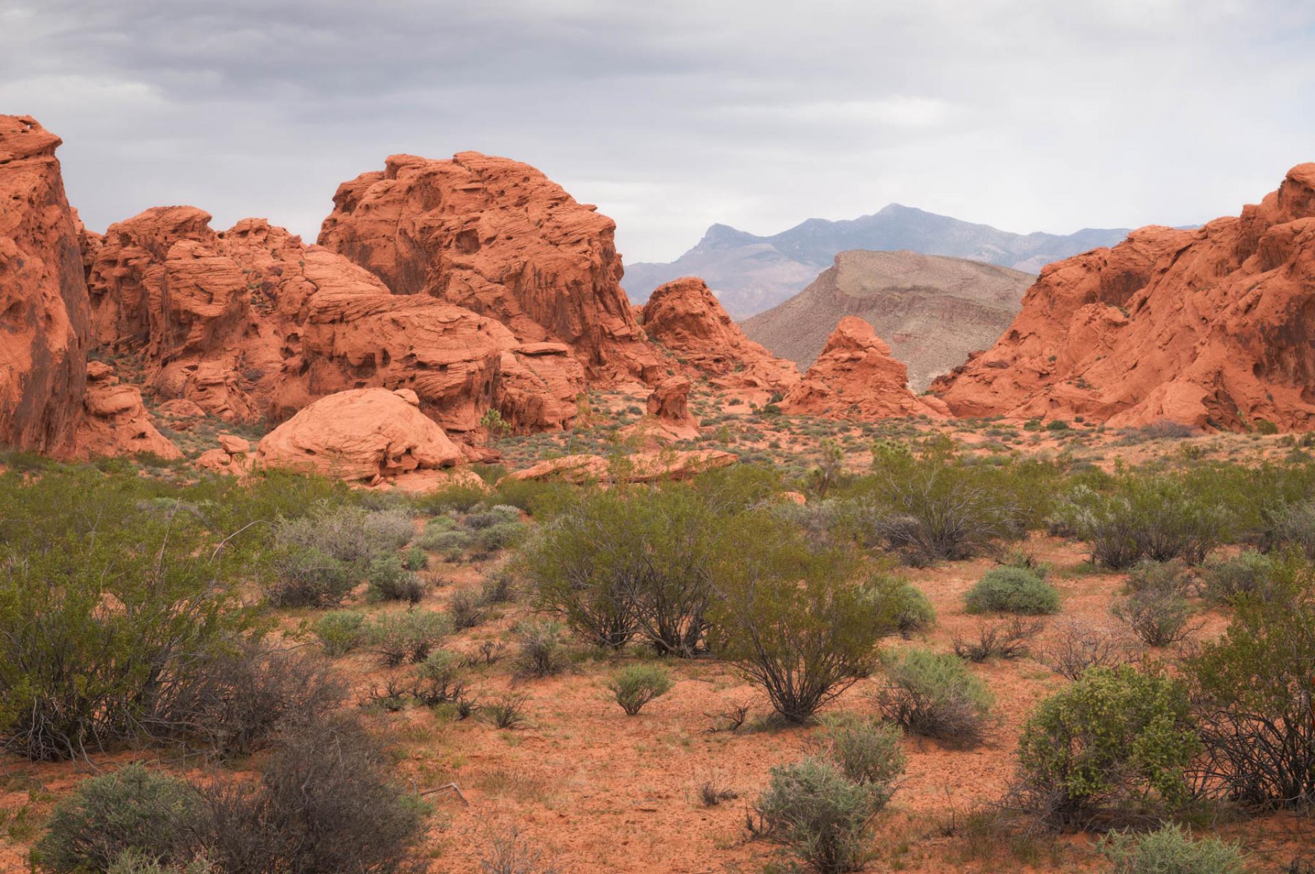 Gold Butte National Monument, Nevada.
