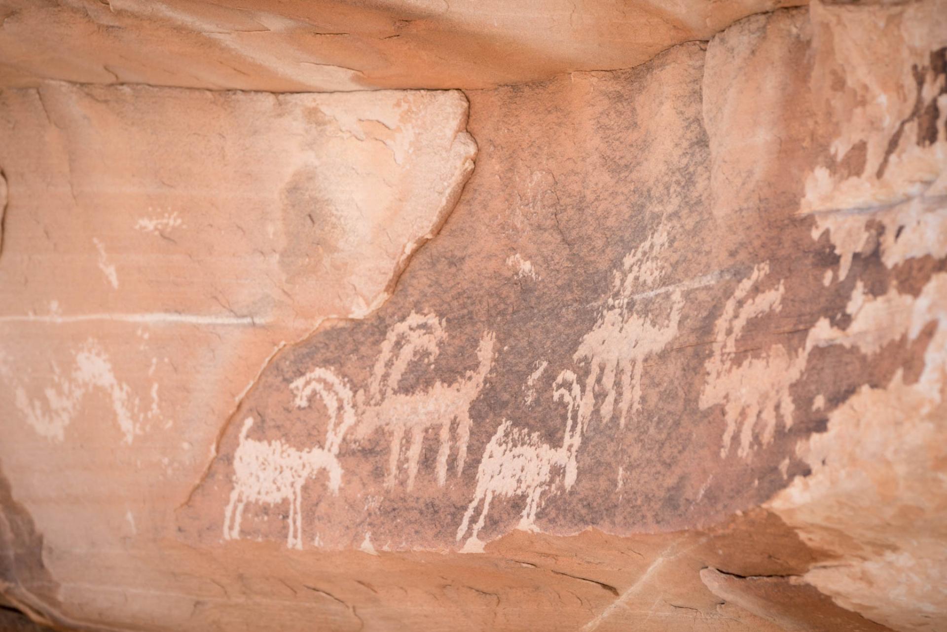 Gold Butte National Monument, Nevada.