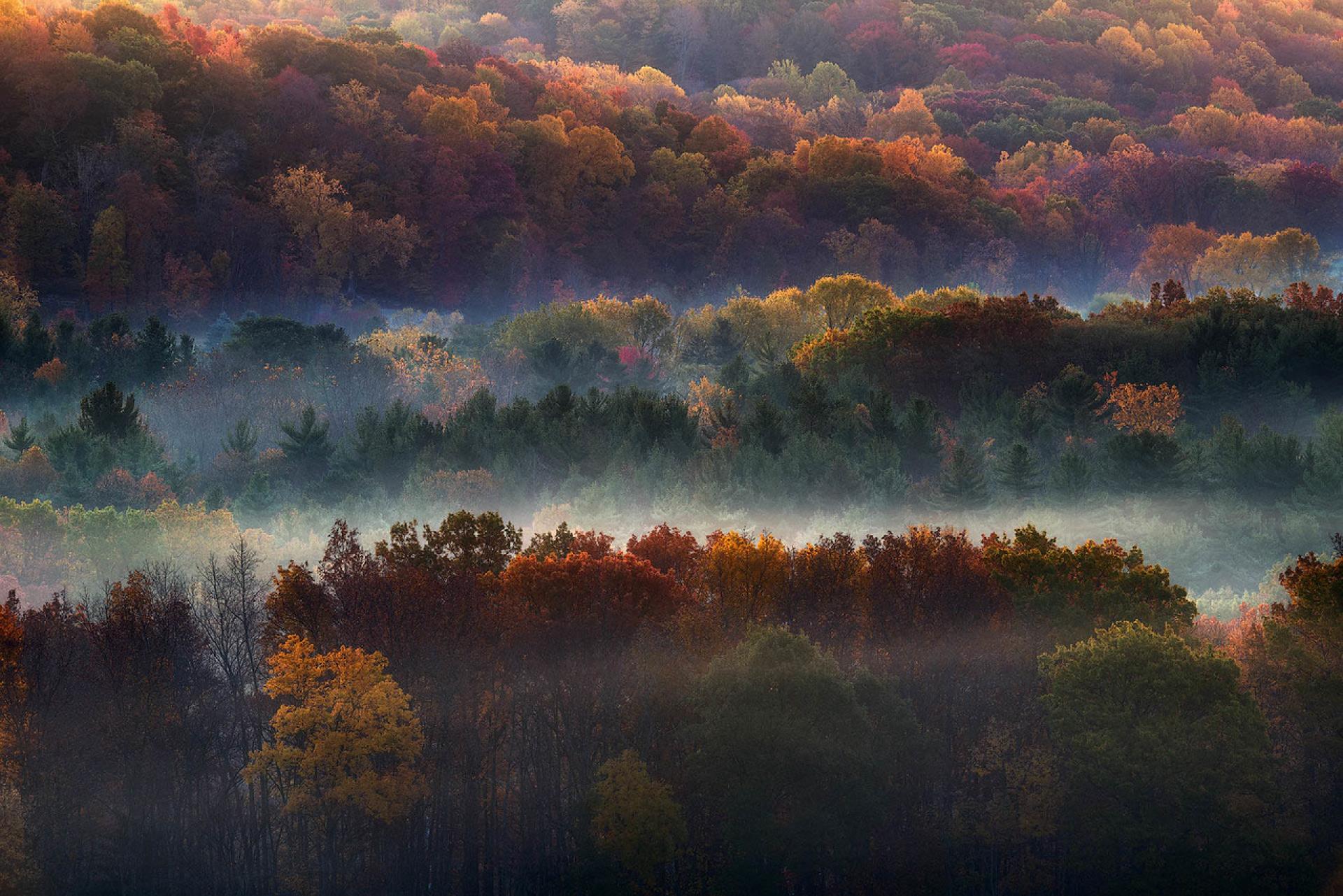 Hinckley Reservation, OH