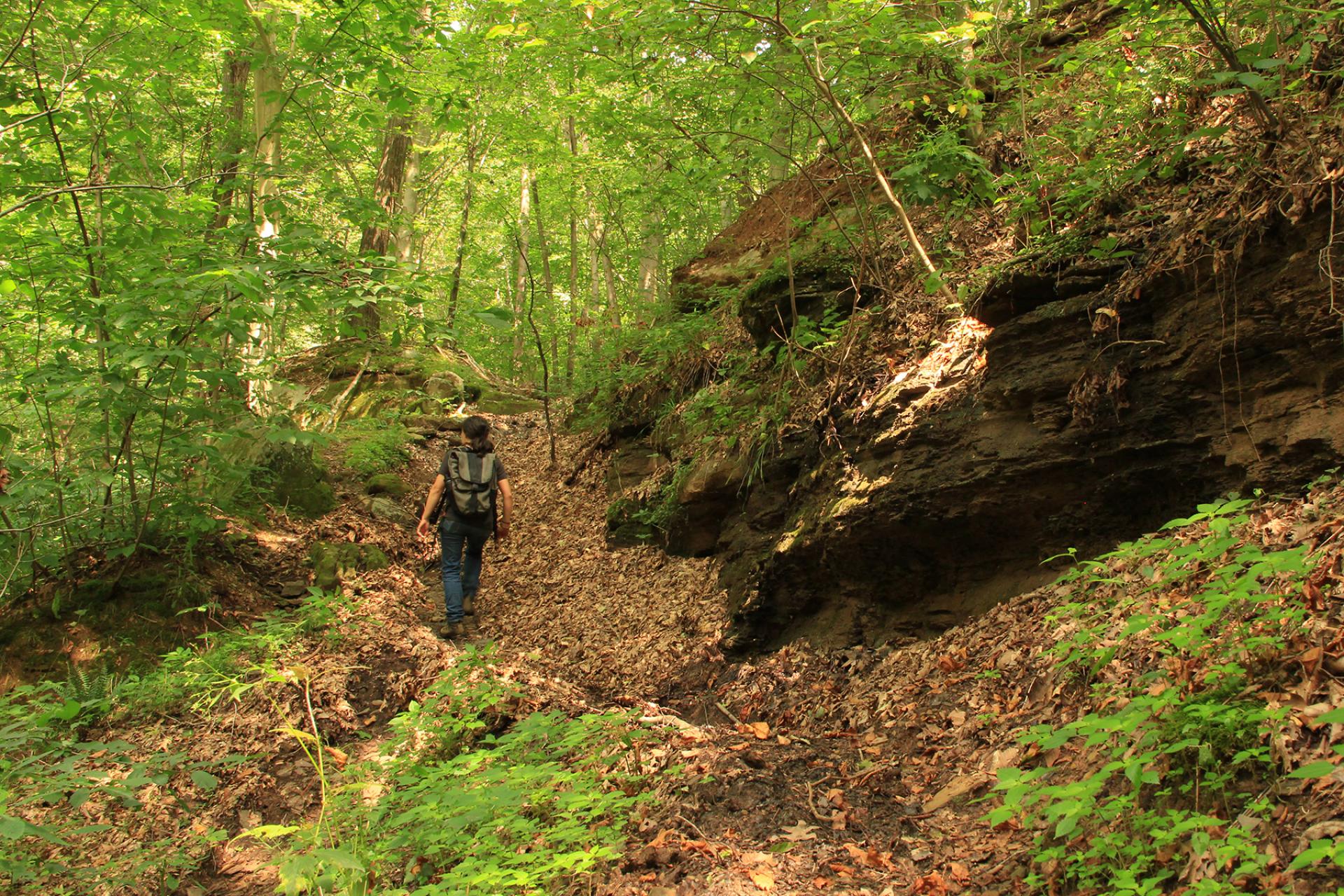 Wayne National Forest, Ohio