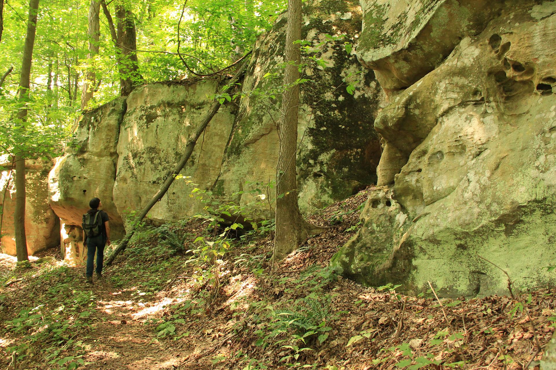 Wayne National Forest, Ohio