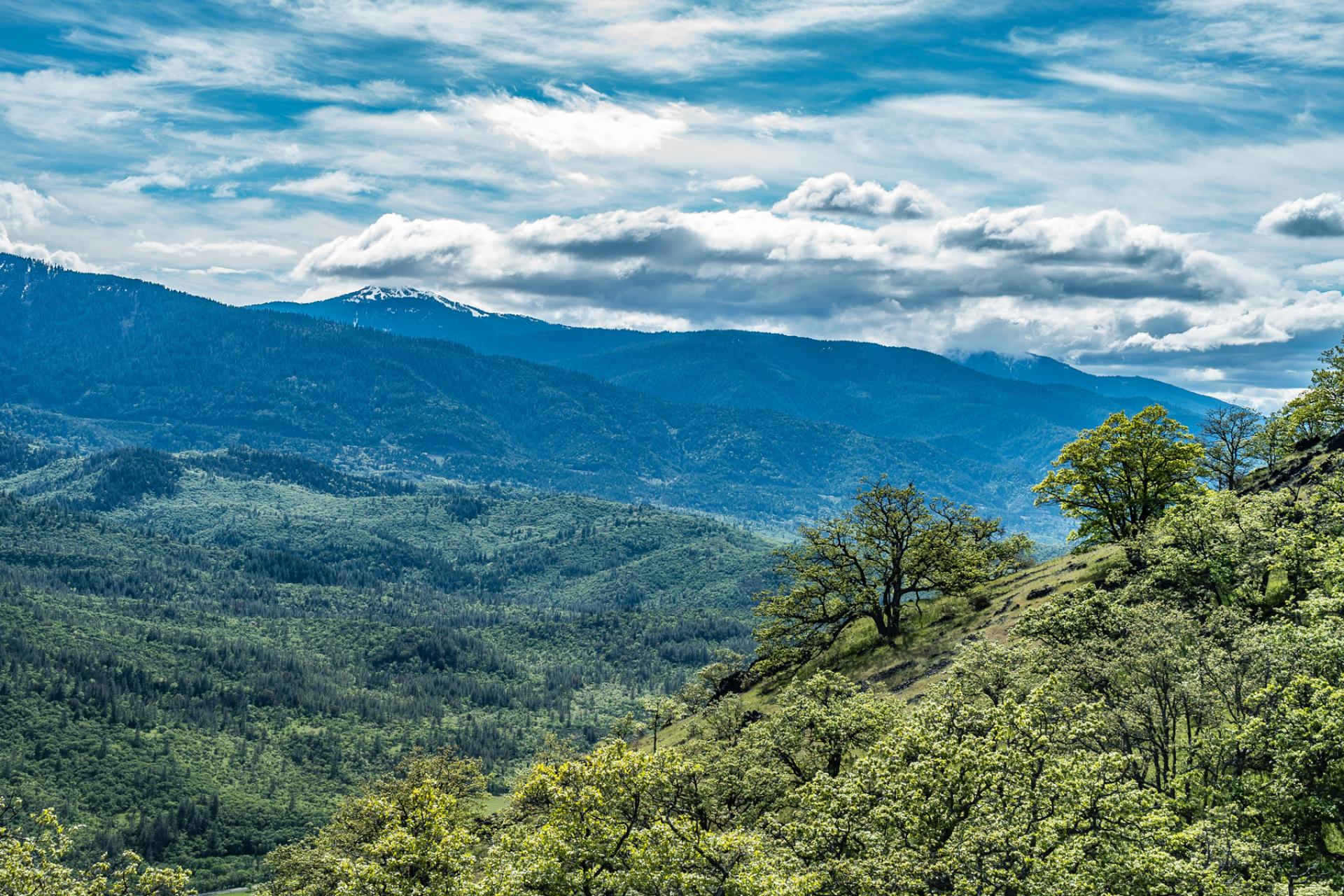 Wooded slopes in foreground, mountain in background in Cascade-Siskiyou National Monument, Oregon