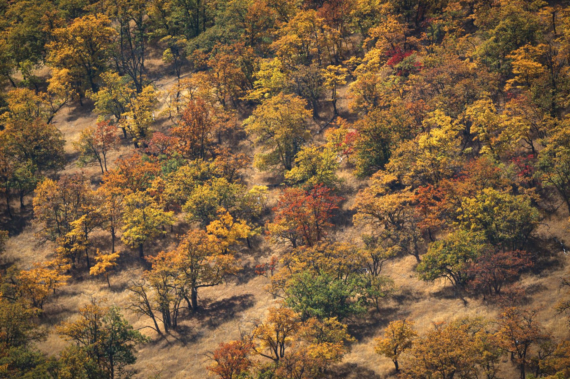 Cascade-Siskiyou National Monument, Oregon.