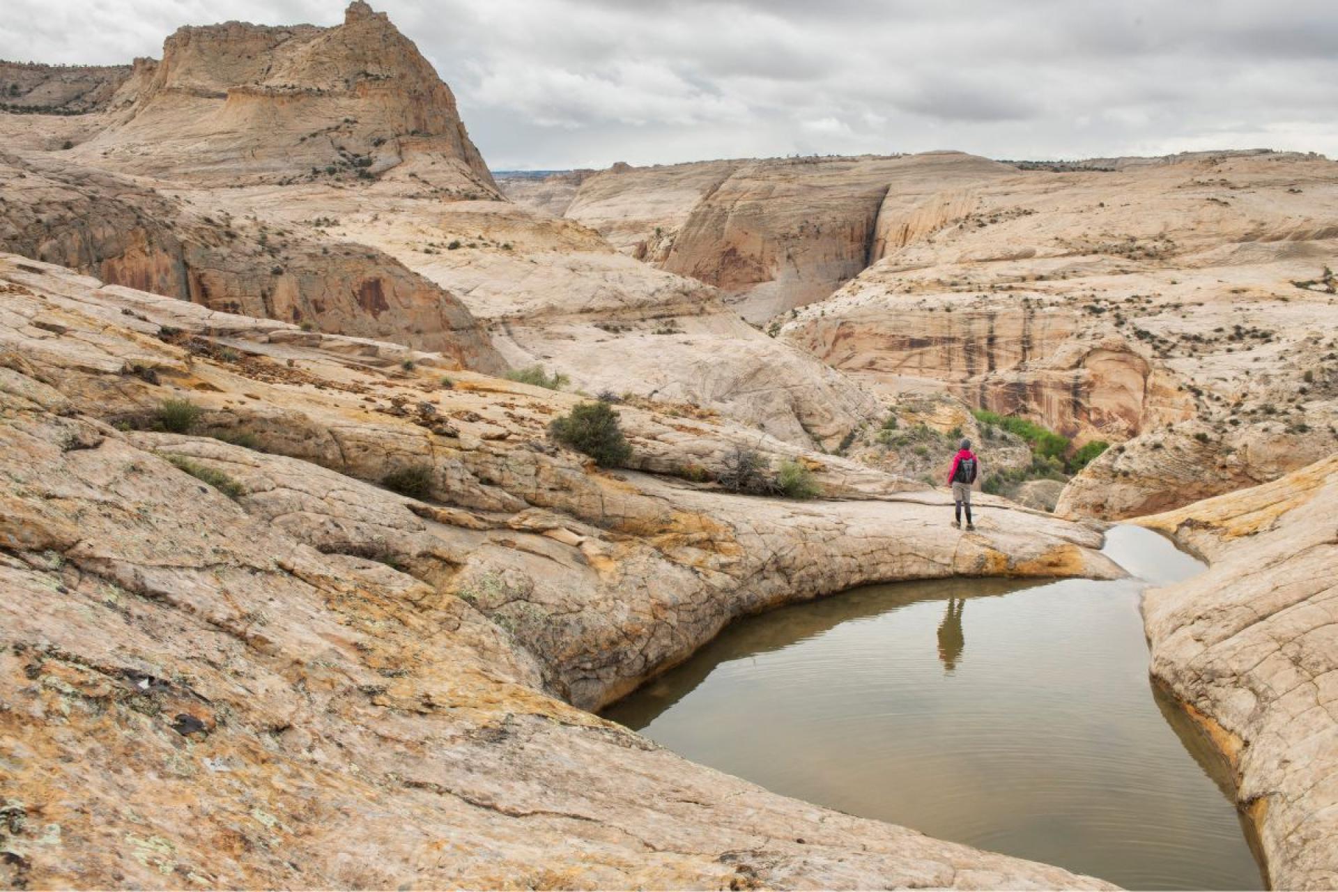 A water hole at Grand Staircase-Escalante