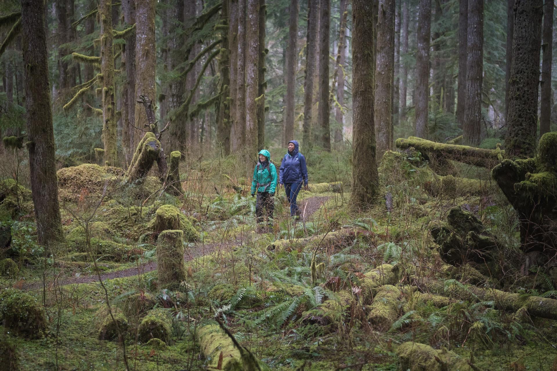 Walking in Alpine Lakes Wilderness, WA