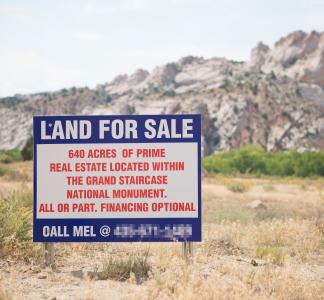 Land for sale sign
