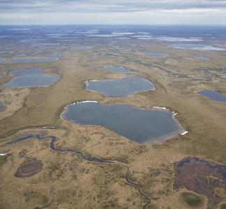 Alaska's Western Arctic