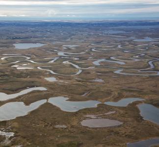 The National Petroleum Reserve-Alaska is America's largest tract of public land.