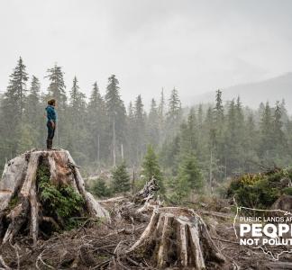 Tongass National Forest