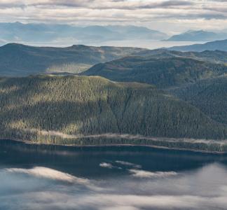 Aerial view of coastline abutted by heavy tree growth. More water and other land masses visible in distance, all beneath cloudy sky 