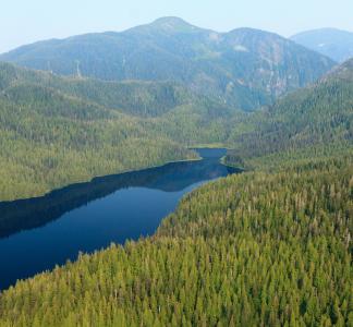 Green, wooded slopes in foreground and background with dark blue waterway running between them into the distance, Tongass National Forest, Alaska