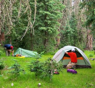 Camping in Cococino National Forest, AZ