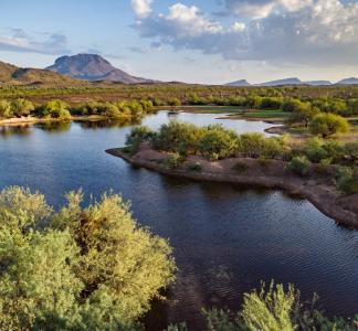 A pond in the desert surrounded by green foliage with mountains in the background.