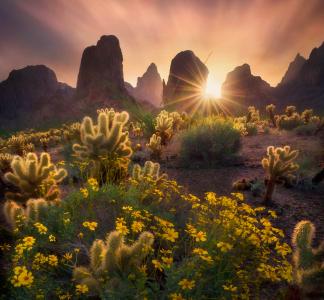 Kofa National Wildlife Refuge, AZ