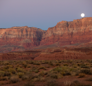 moonlight over red canyons