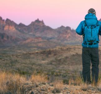 Castle Mountains National Monument, CA